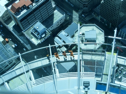 auckland (08)